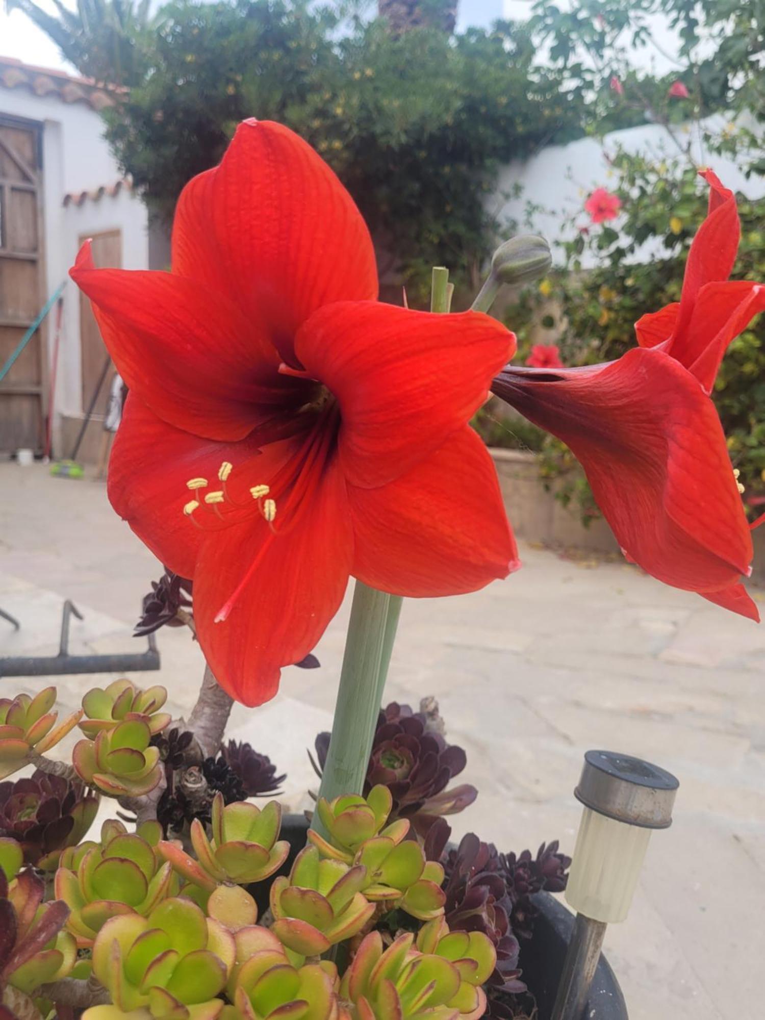 Llar De Laura Villa เอลโปเบลโนว เดล เดลตา ภายนอก รูปภาพ